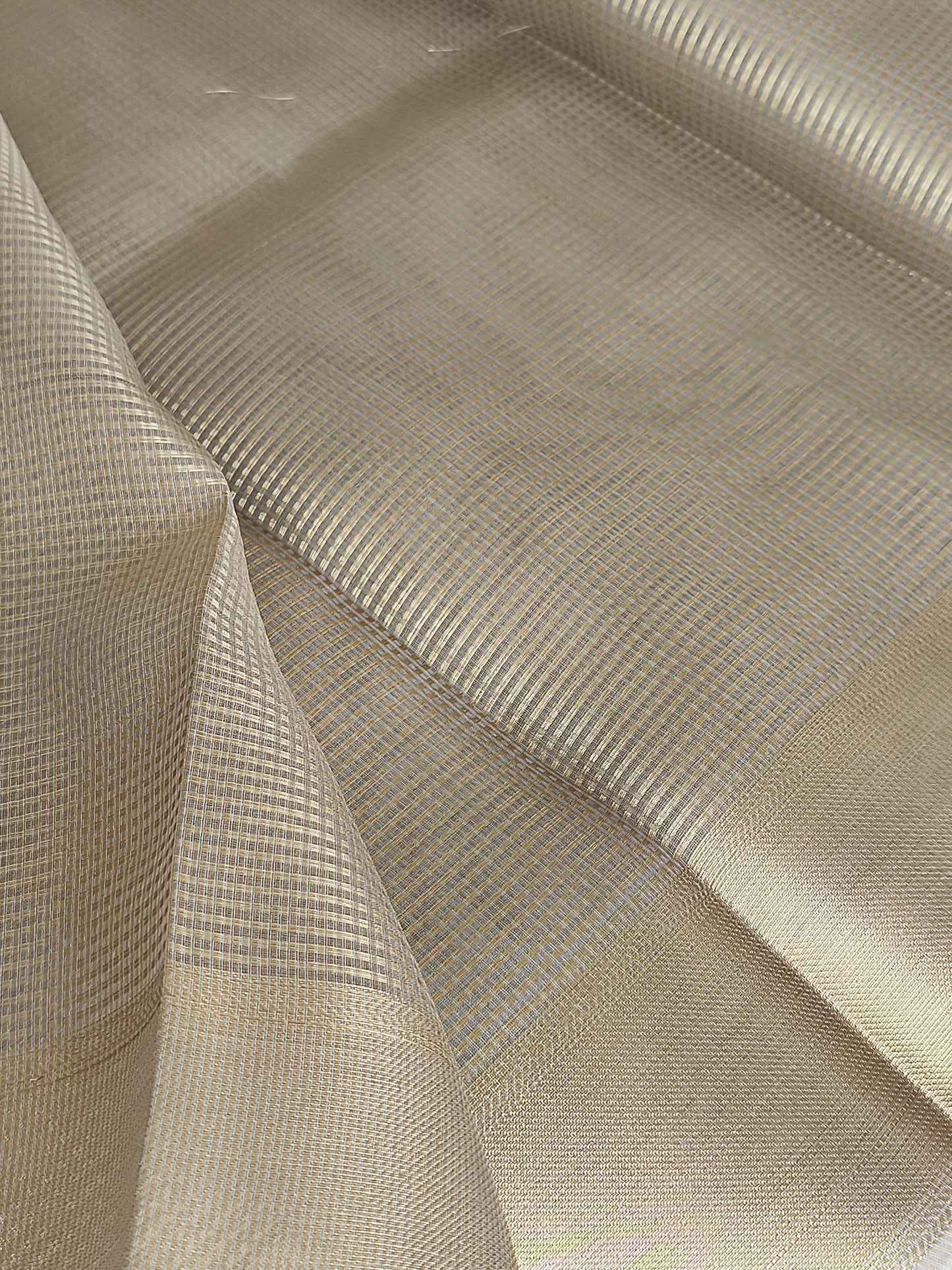 Nayanthara inspired Tissue Saree