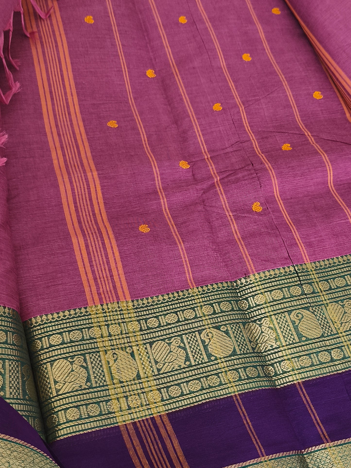 Premium Kanchi Cotton Saree
