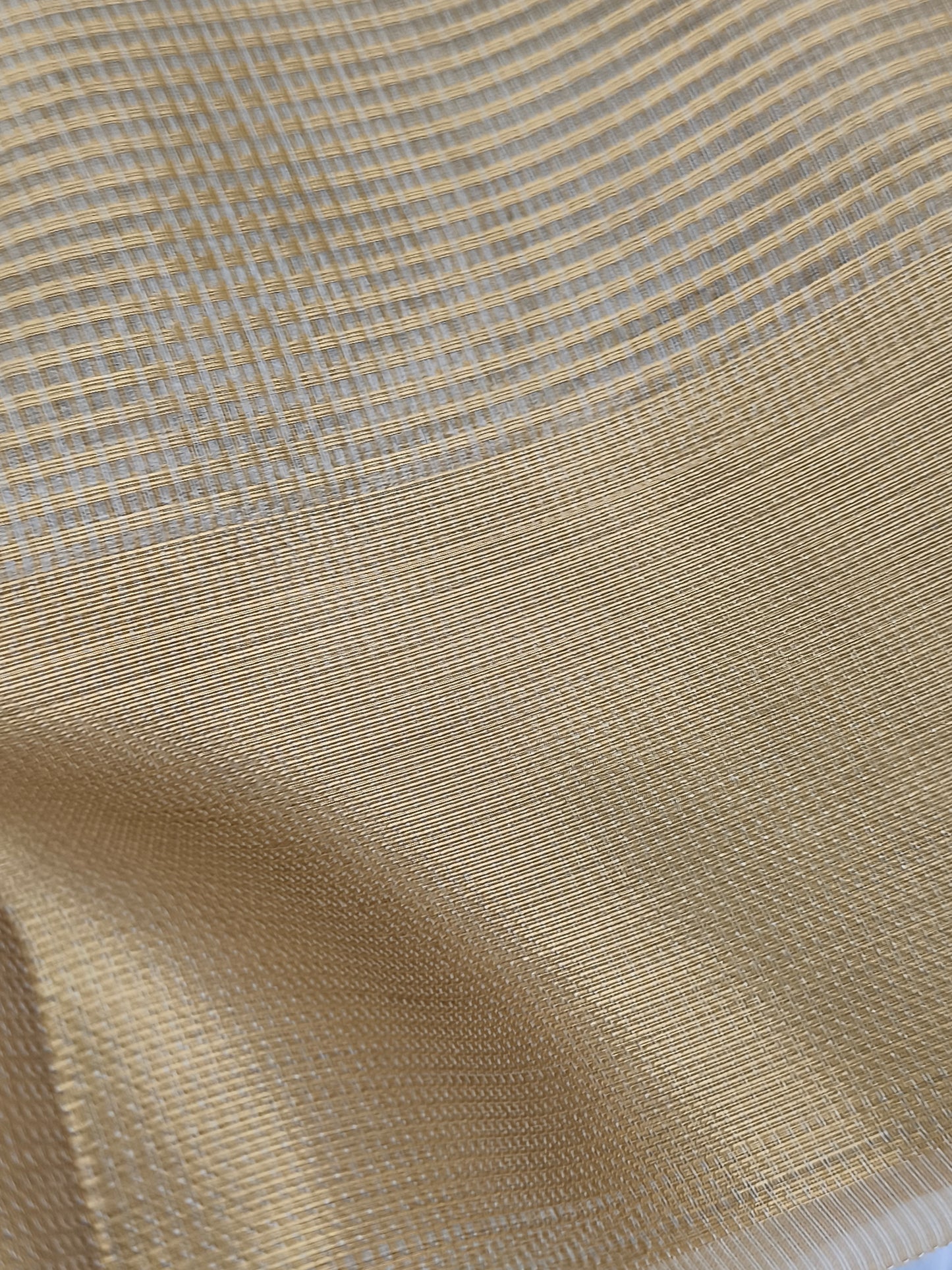 Nayanthara inspired Tissue Saree