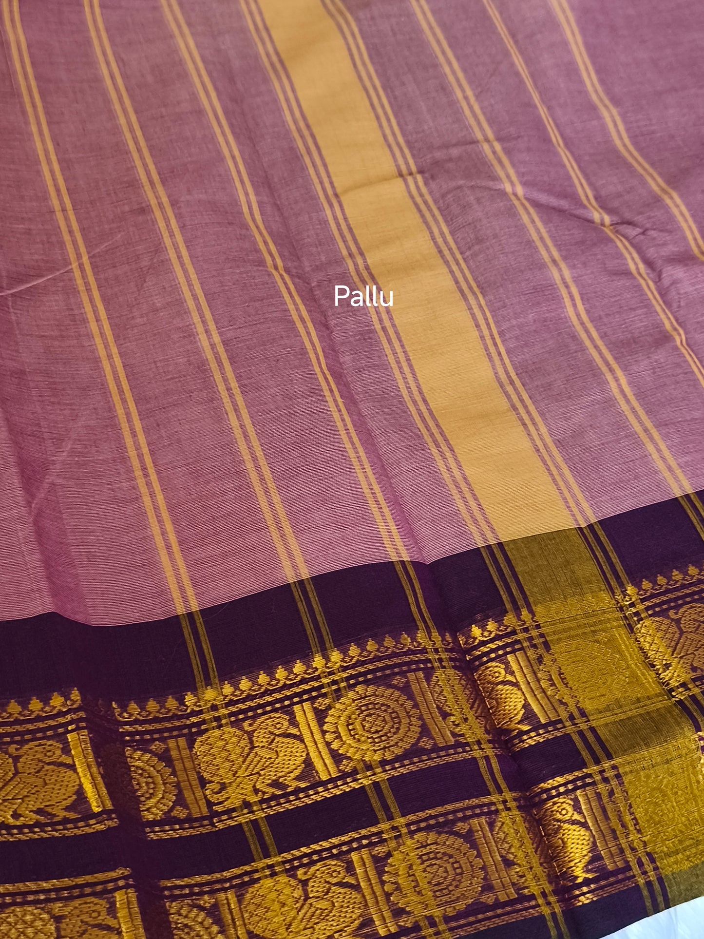Pure Handloom kanchi cotton saree