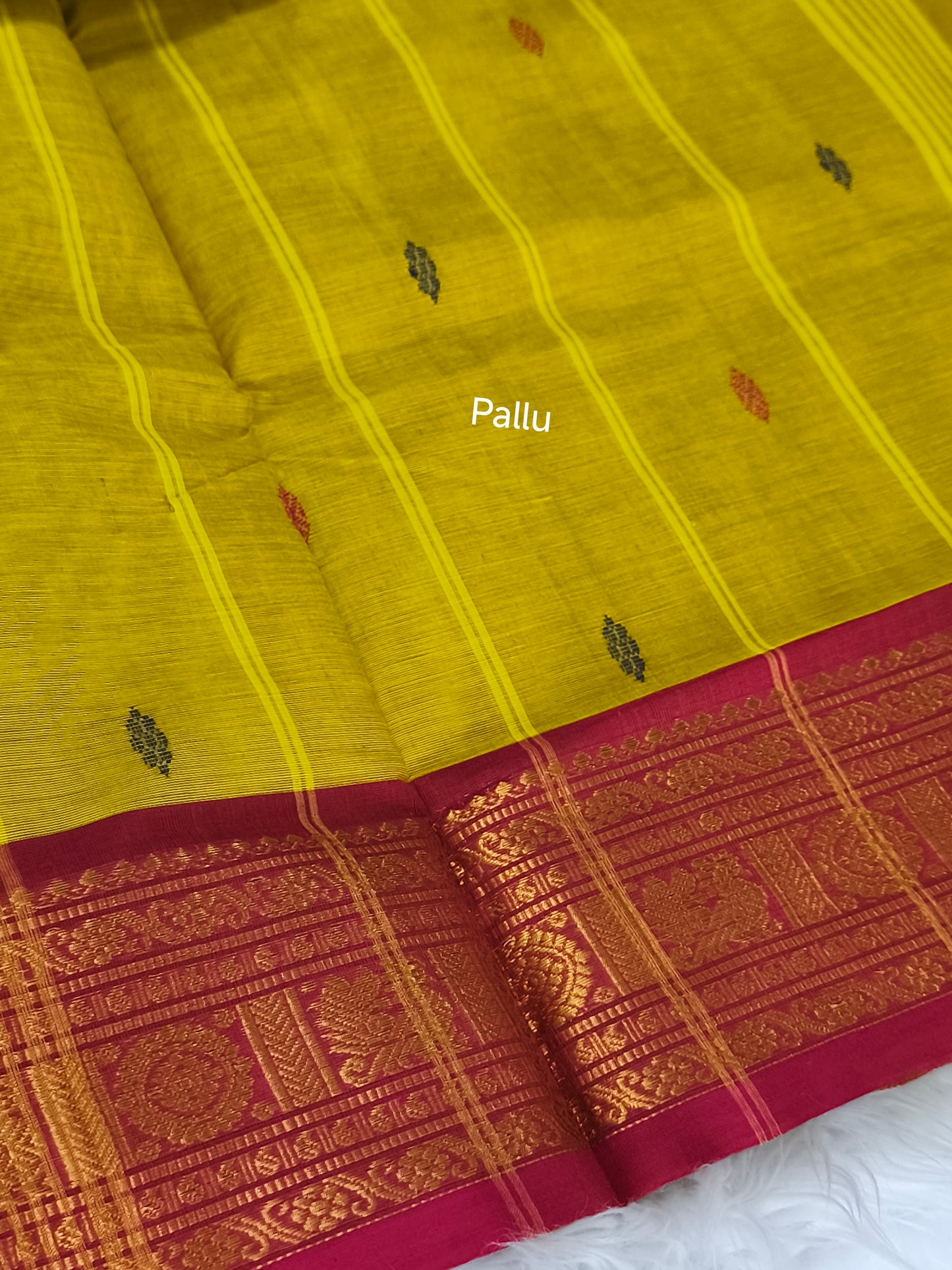 Pure handloom Kanchi Cotton Saree