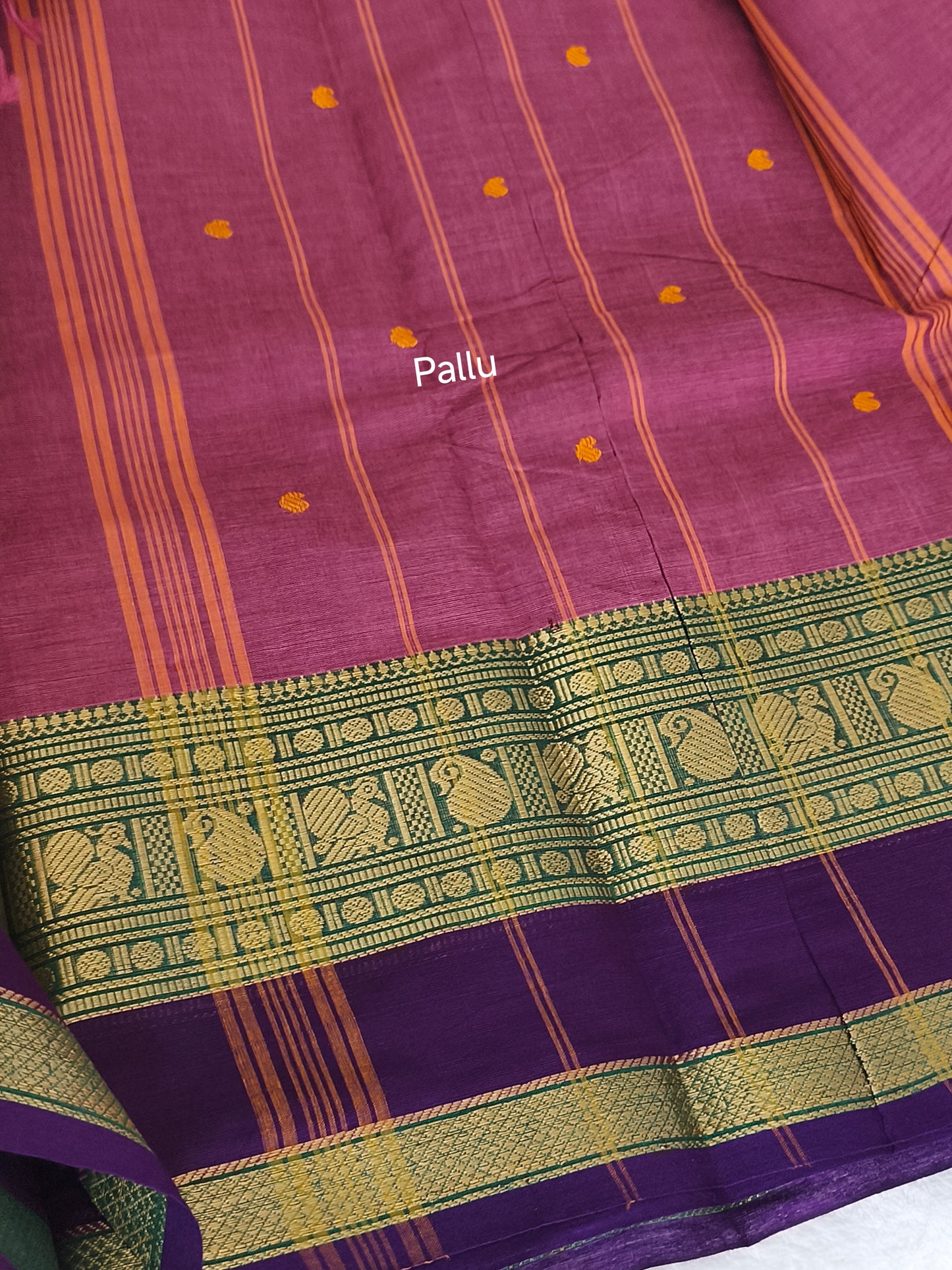 Premium Kanchi Cotton Saree