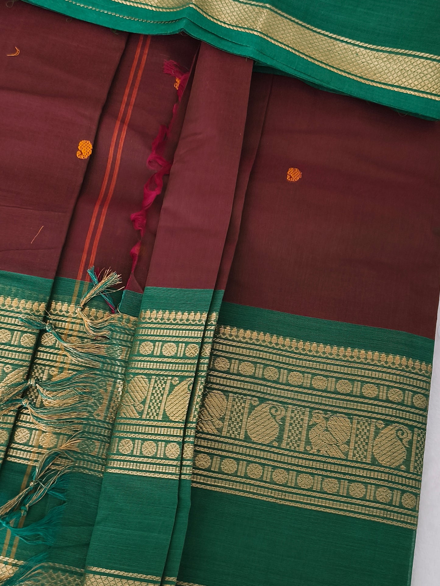 Premium Kanchi Cotton Saree