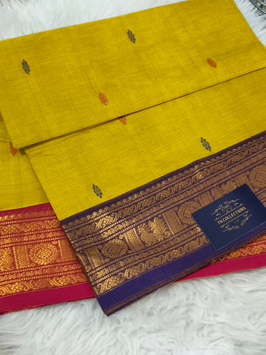 Pure handloom Kanchi Cotton Saree