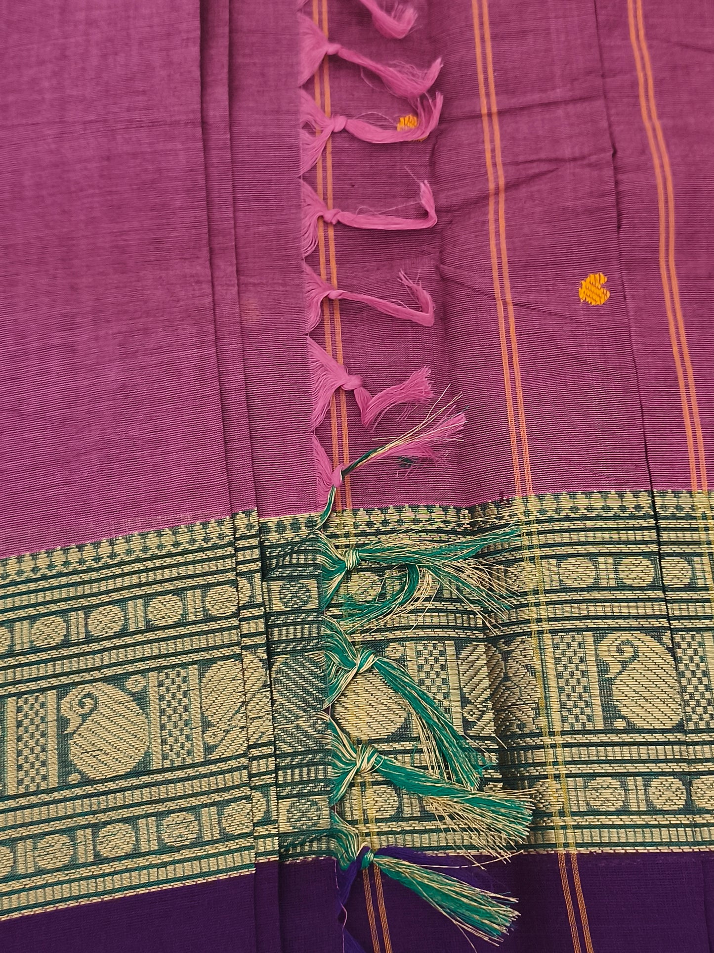 Premium Kanchi Cotton Saree