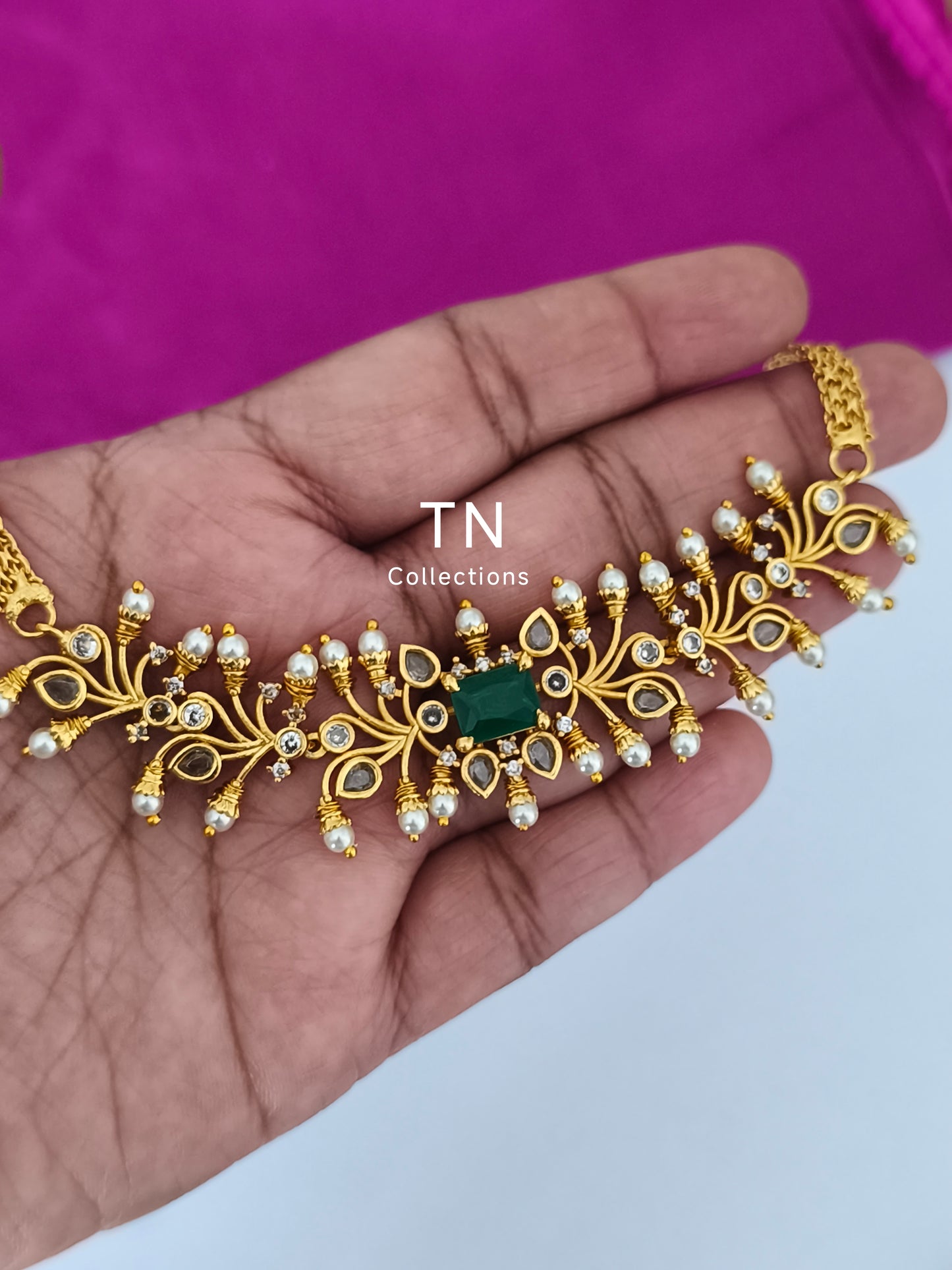 Matte Finish Choker with earrings