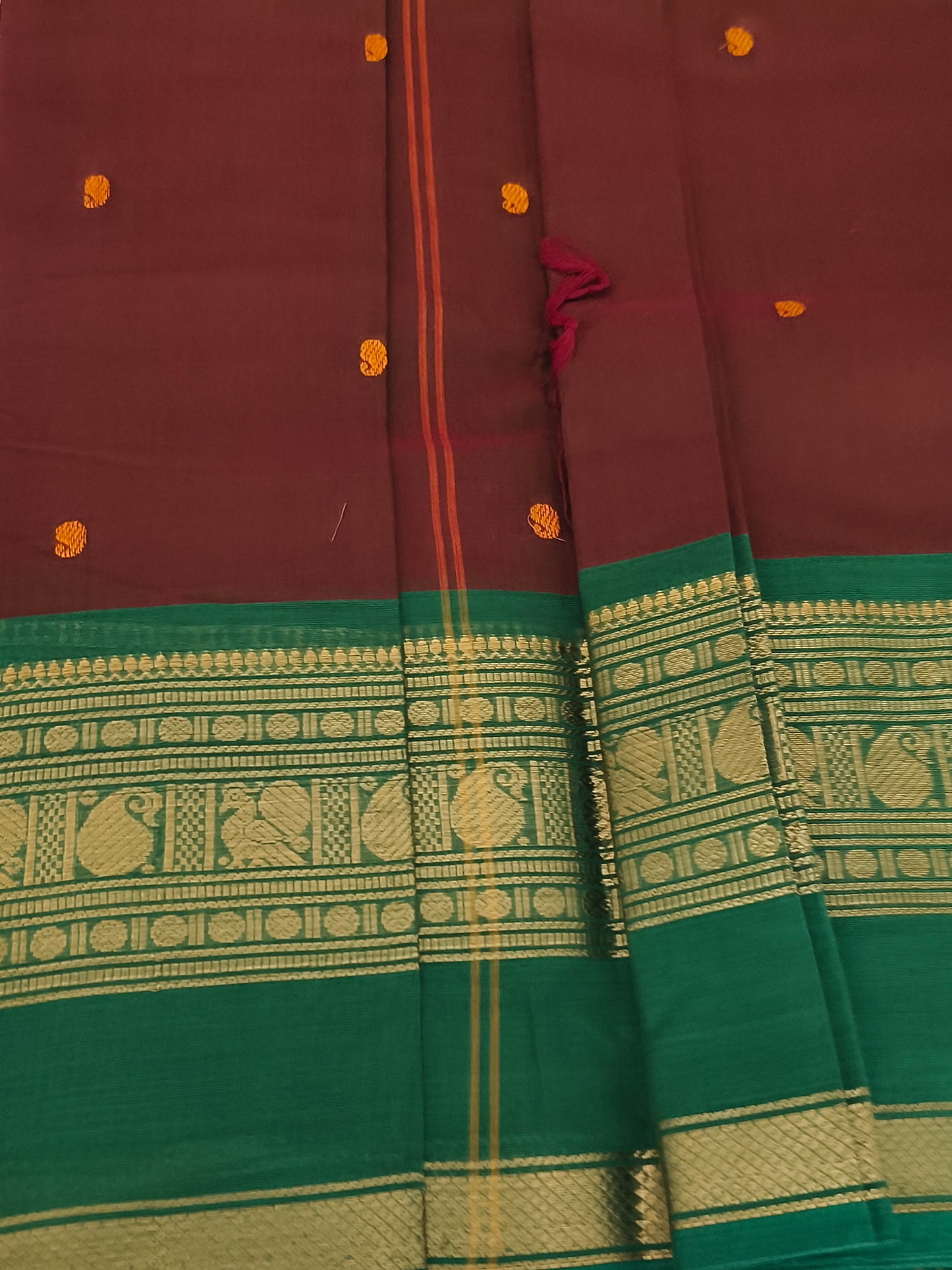 Premium Kanchi Cotton Saree