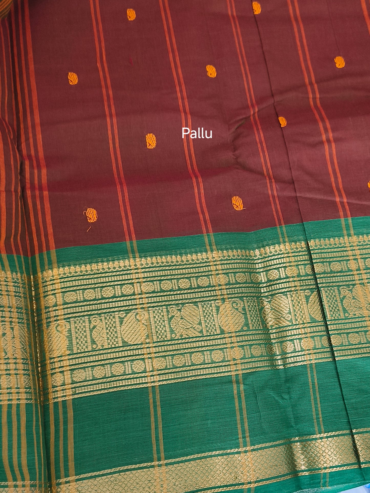 Premium Kanchi Cotton Saree
