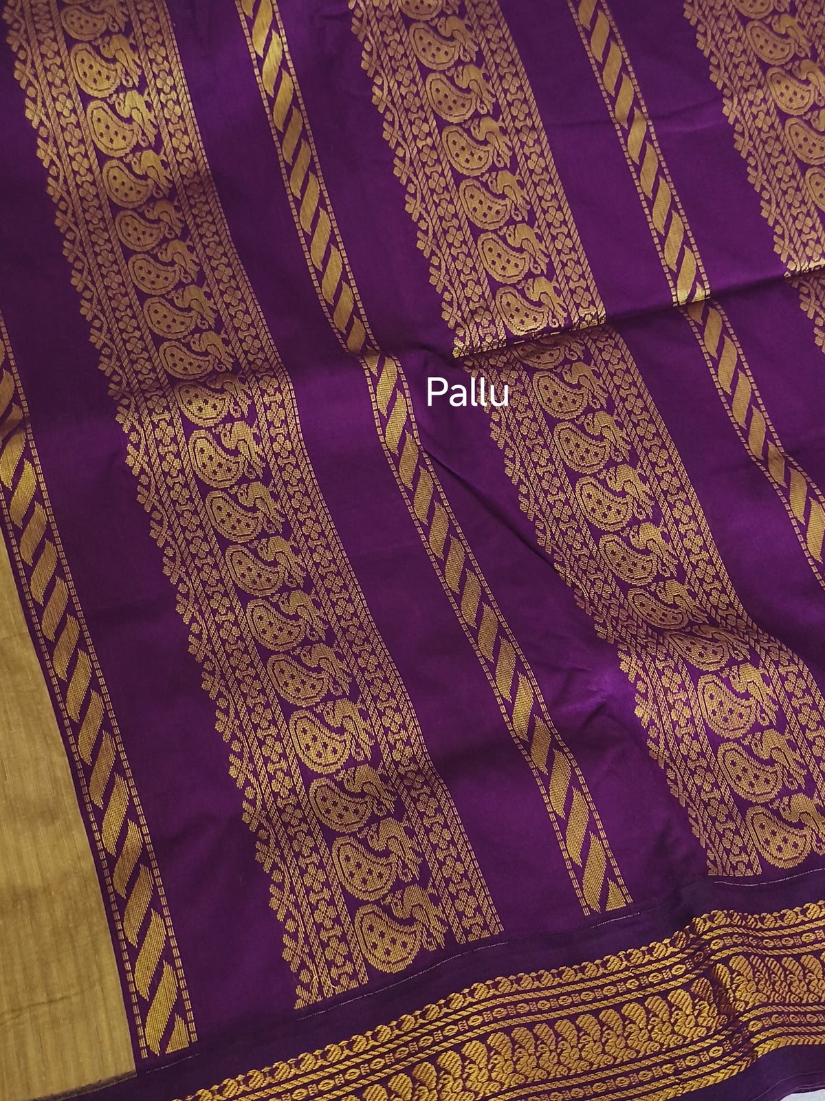 Madisar Kalyani cotton Pattu Saree (9yards)
