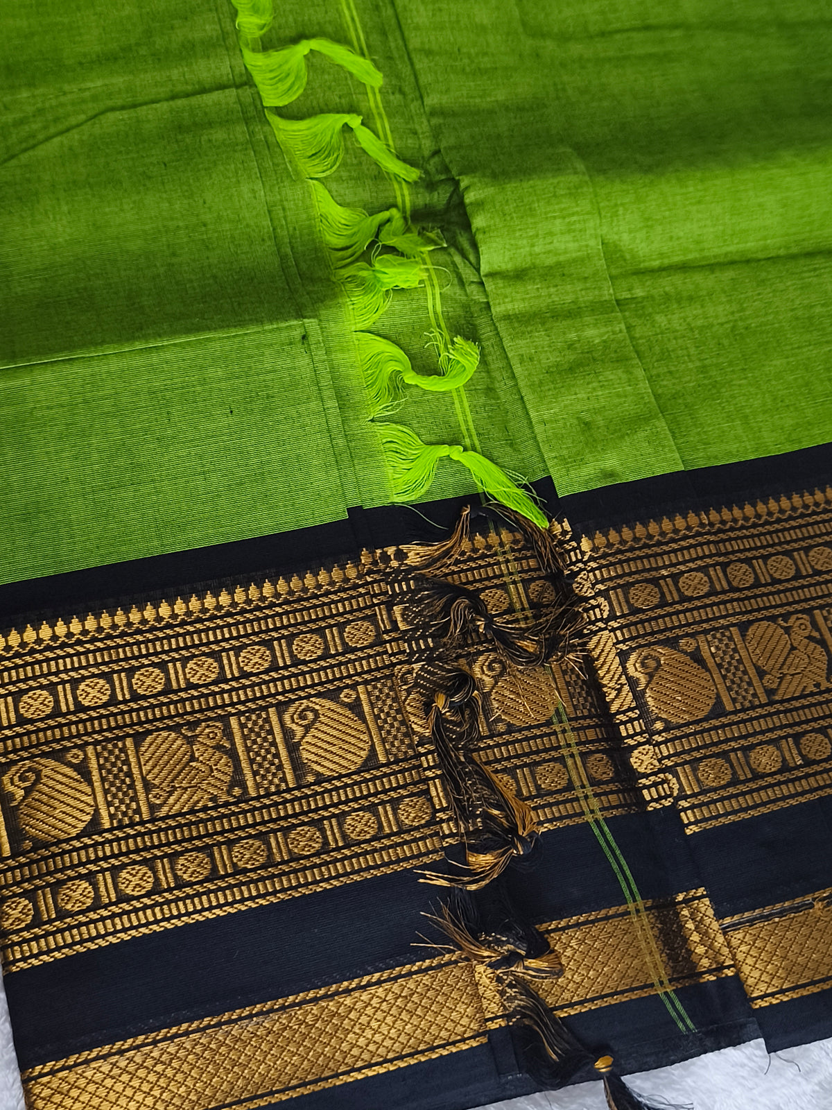 Premium Kanchi Cotton Saree
