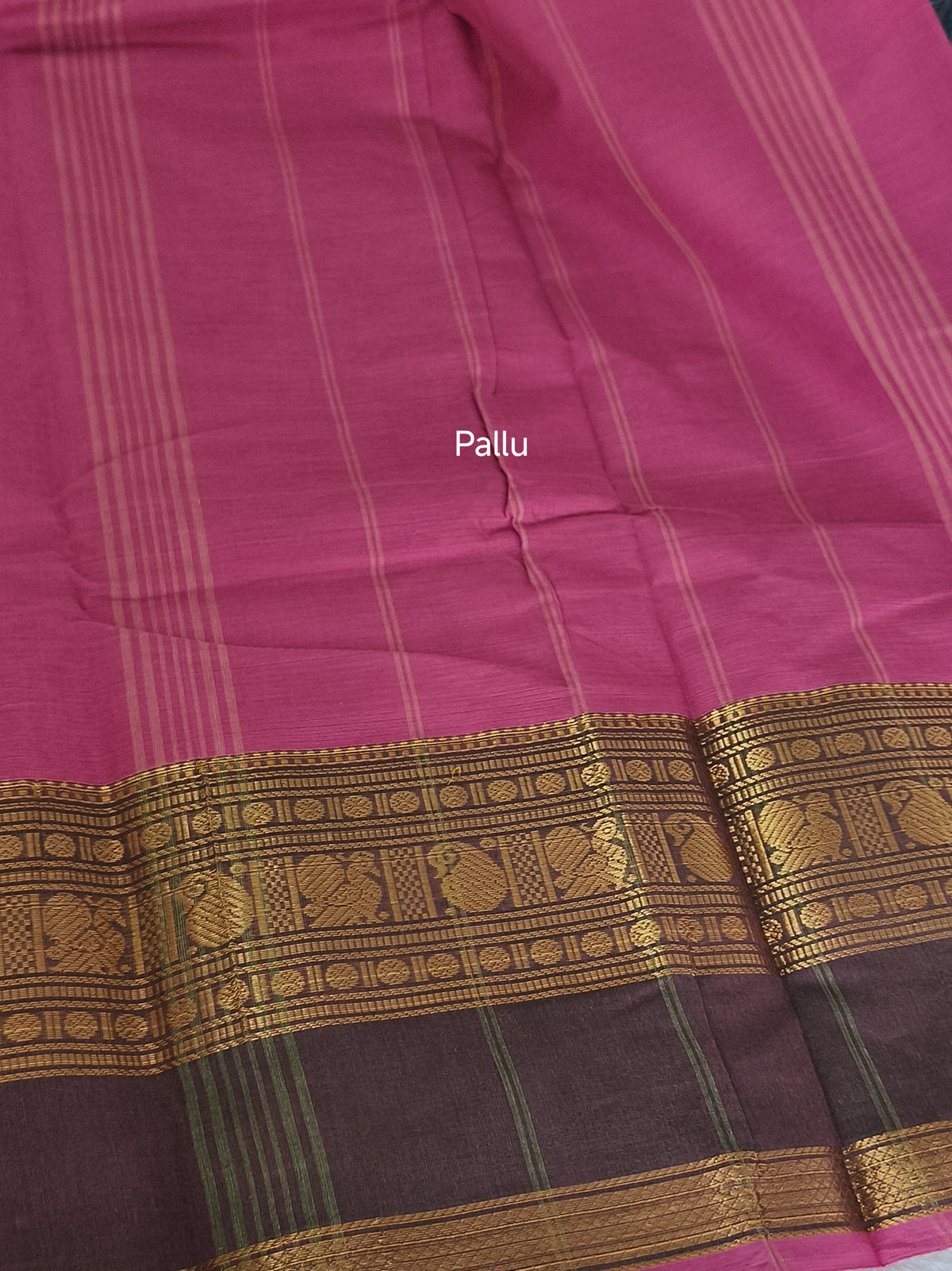 Premium Kanchi Cotton Saree